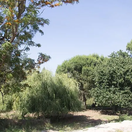 Quinta Da Galeana Dreaming * Lourinhã