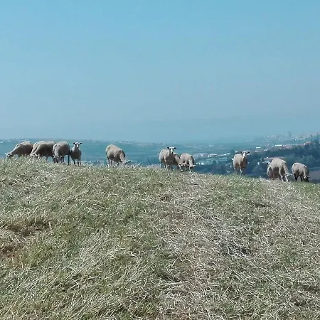 Bed & Breakfast Quinta Da Galeana Dreaming *