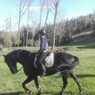 Quinta Da Galeana Dreaming Bed & Breakfast *