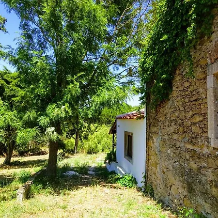 Quinta Da Galeana Dreaming Bed & Breakfast *