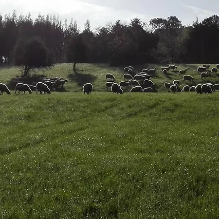 Quinta Da Galeana Dreaming Alojamento de Acomodação e Pequeno-almoço Lourinhã