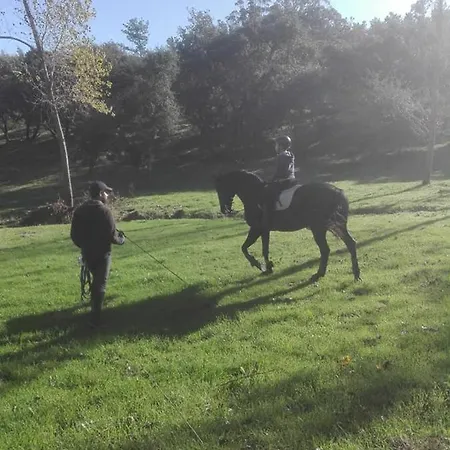 Quinta Da Galeana Dreaming Отель типа 