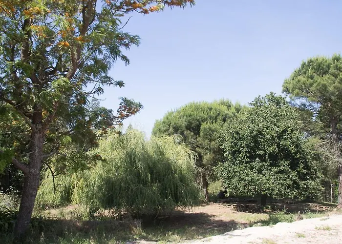 Quinta Da Galeana Dreaming * Lourinhã