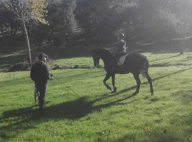 Quinta Da Galeana Dreaming Nocleg ze śniadaniem